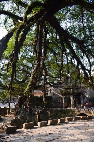 博皓游記 | 夏風微醺的綺夢，領略賀州黃姚古鎮(zhèn)、姑婆山閑憩之美-12