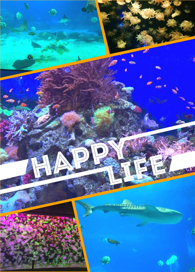 廣東博皓親子游：珠海長隆海洋王國，探索海洋生物的奧秘，奇妙的動物世界