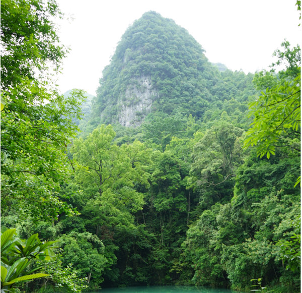 賞華夏大地，游多彩貴州-－2021年廣東博皓快樂(lè)行-2