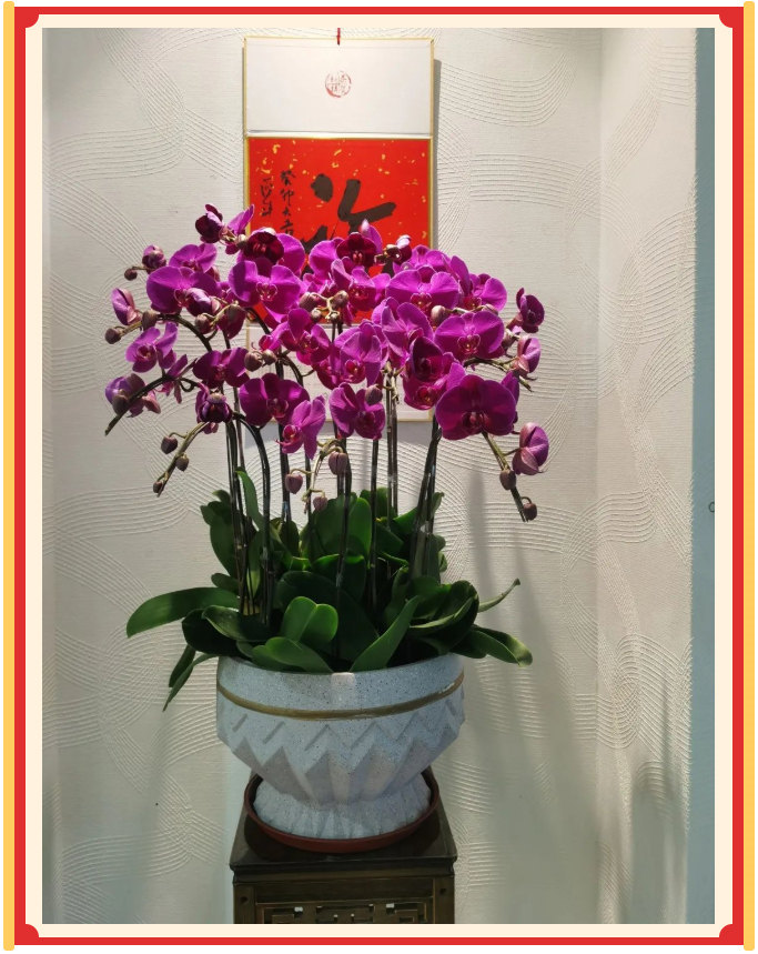 廣東博皓開工大吉丨金虎騰躍，兔來運(yùn)轉(zhuǎn)           -23