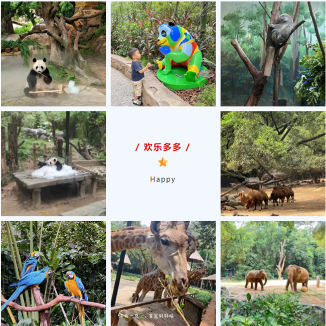 大手牽小手，快樂親子游！廣東博皓2023年親子游活動(dòng)        -8