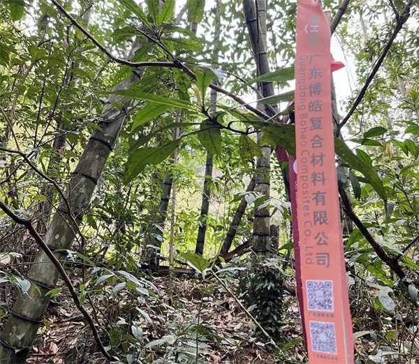 凝心聚力再出發(fā)，風(fēng)雨同舟赴星溪！--廣東博皓2024龍年首登星溪之旅     -2