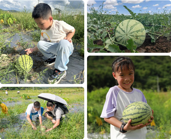 趣游盛夏，一路童行—2024年廣東博皓親子游   -12
