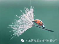 【博皓感悟】成功，要“借力”，不要“盡力”