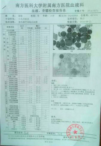 高俊的血液、骨髓檢查報(bào)告單
