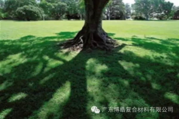 【博皓感悟】欲為大樹，莫與草爭-6