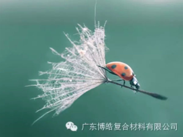 【博皓感悟】成功，要“借力”，不要“盡力”